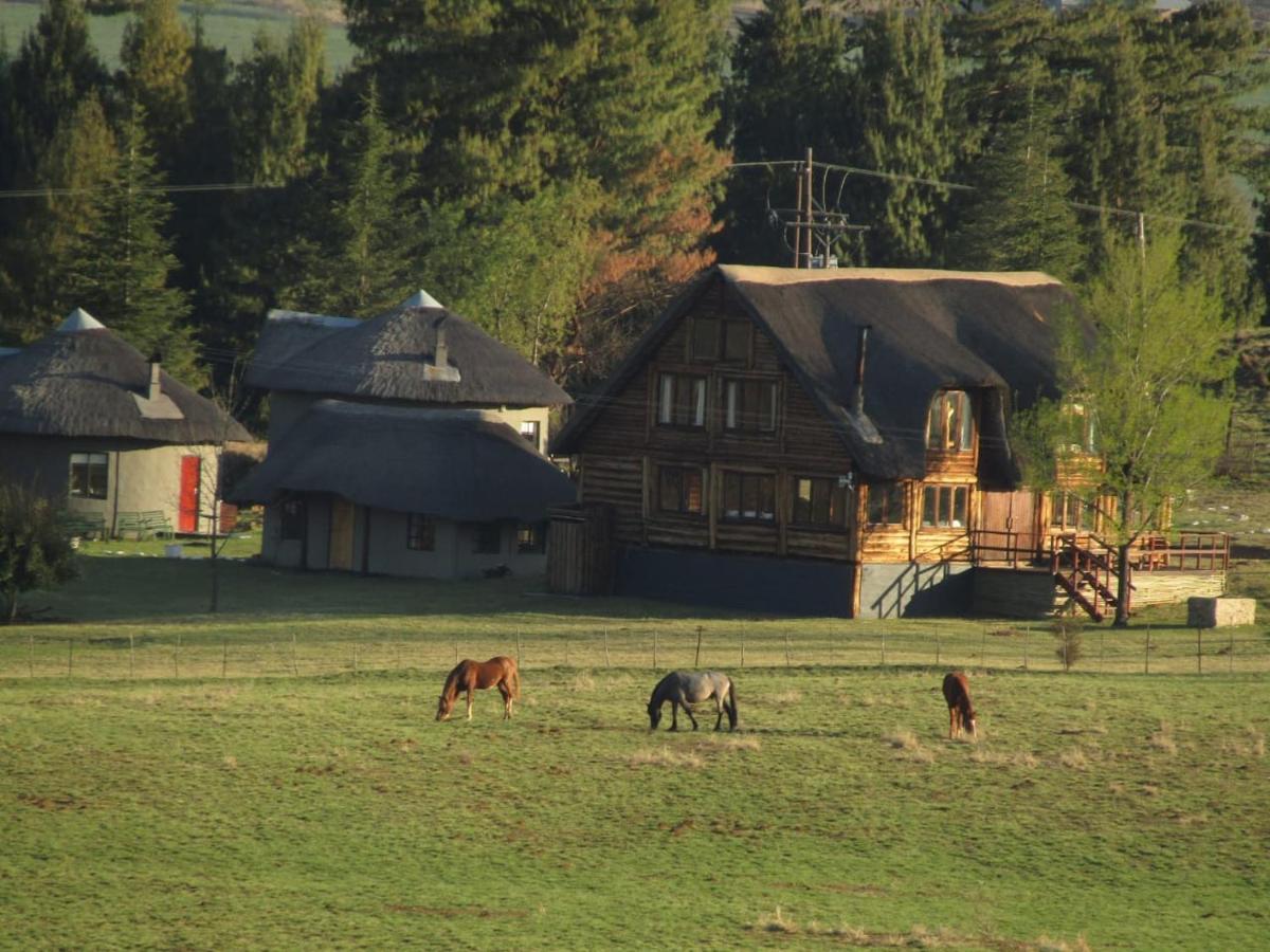 Khotso Lodge & Horse Trails Underberg Exteriér fotografie