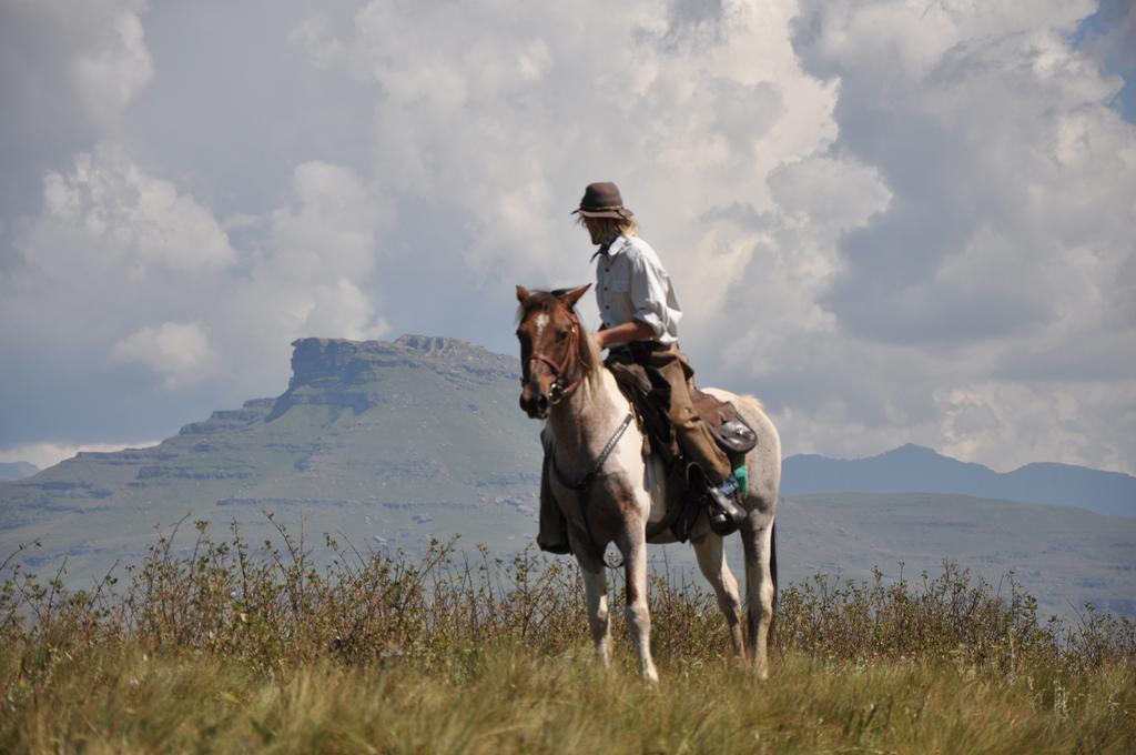 Khotso Lodge & Horse Trails Underberg Exteriér fotografie