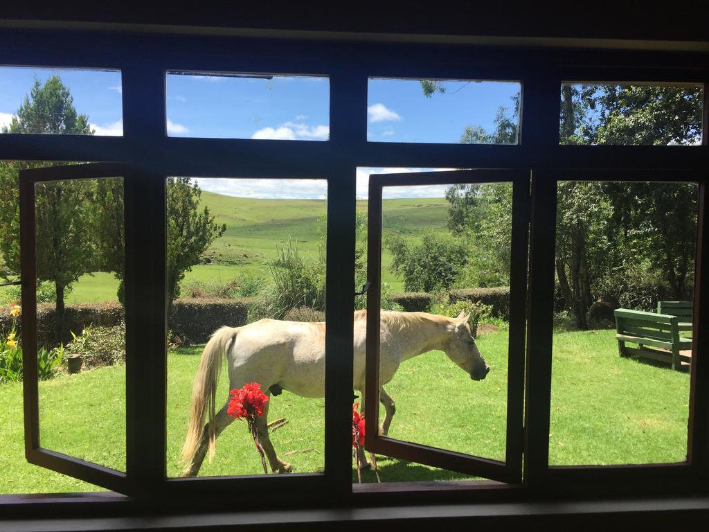 Khotso Lodge & Horse Trails Underberg Exteriér fotografie