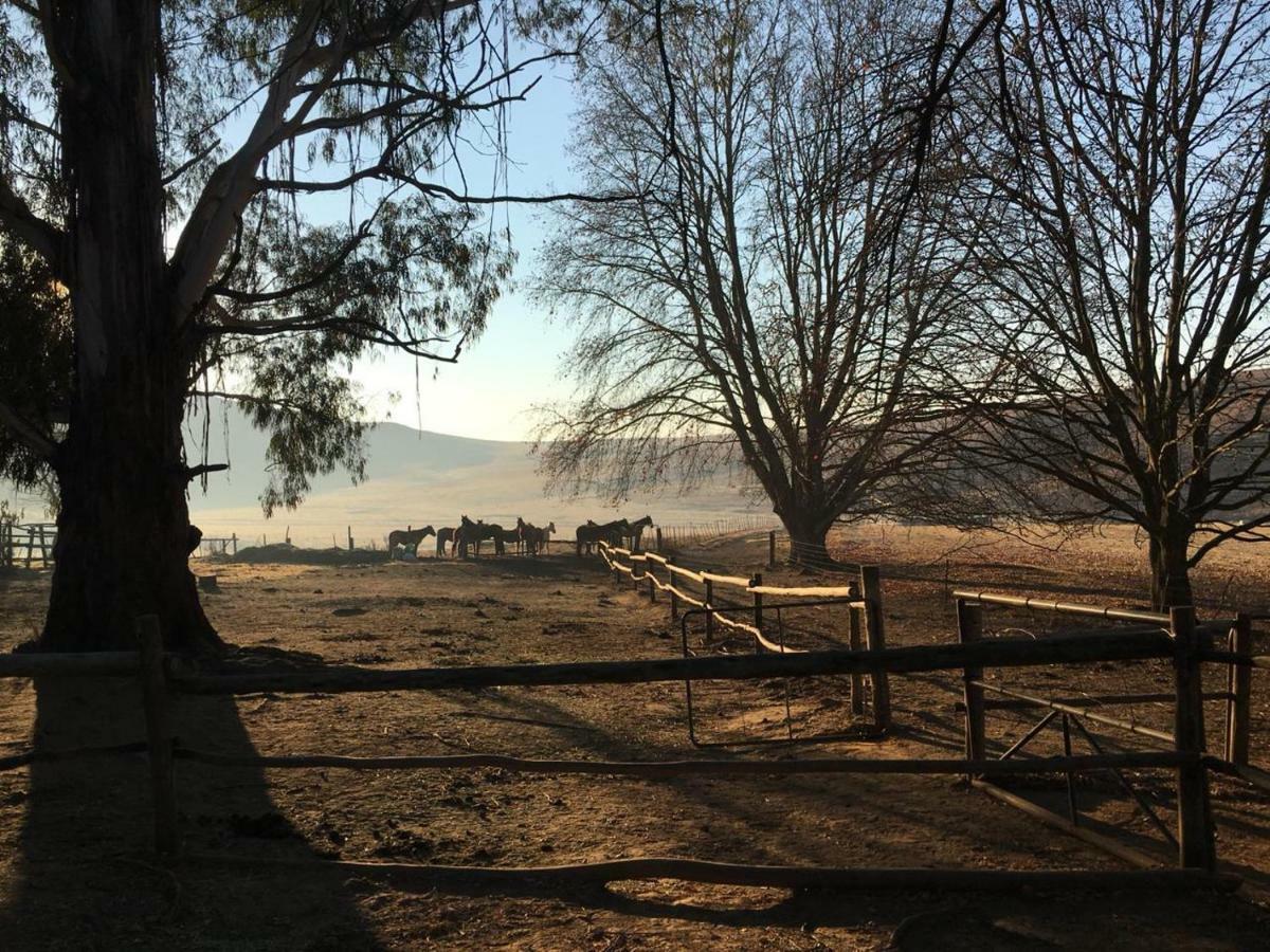 Khotso Lodge & Horse Trails Underberg Exteriér fotografie