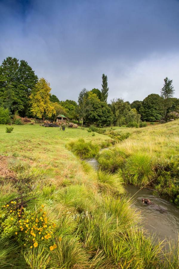 Khotso Lodge & Horse Trails Underberg Exteriér fotografie